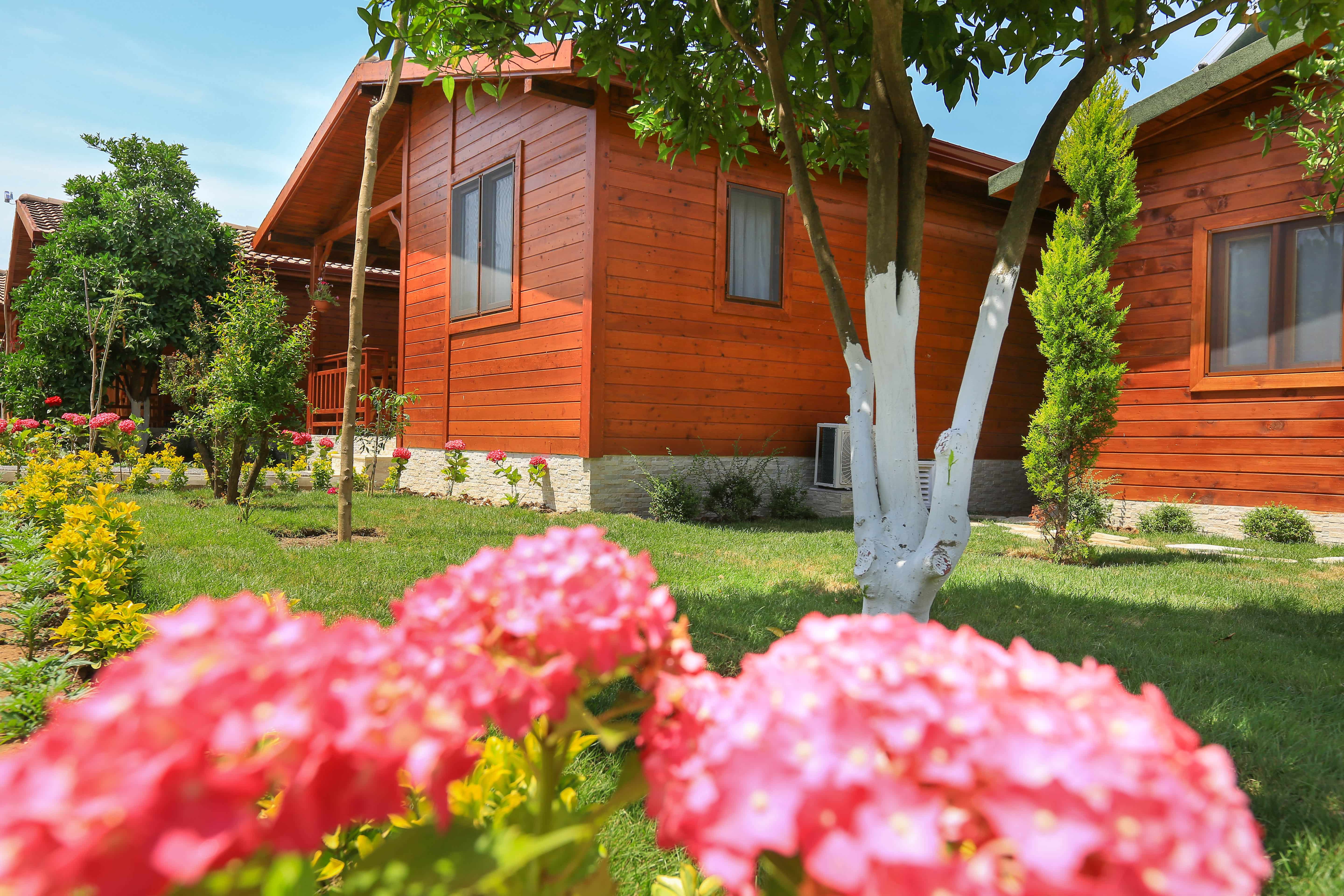Merry Bungalow & TENT Hotel