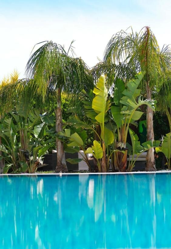 Triangulo Hotel Alaçatı (Adults Only +12) galeri 6