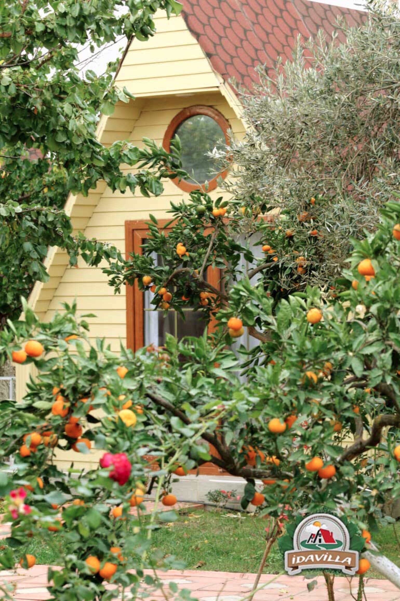 İdavilla Bungalov&Bahce · 15