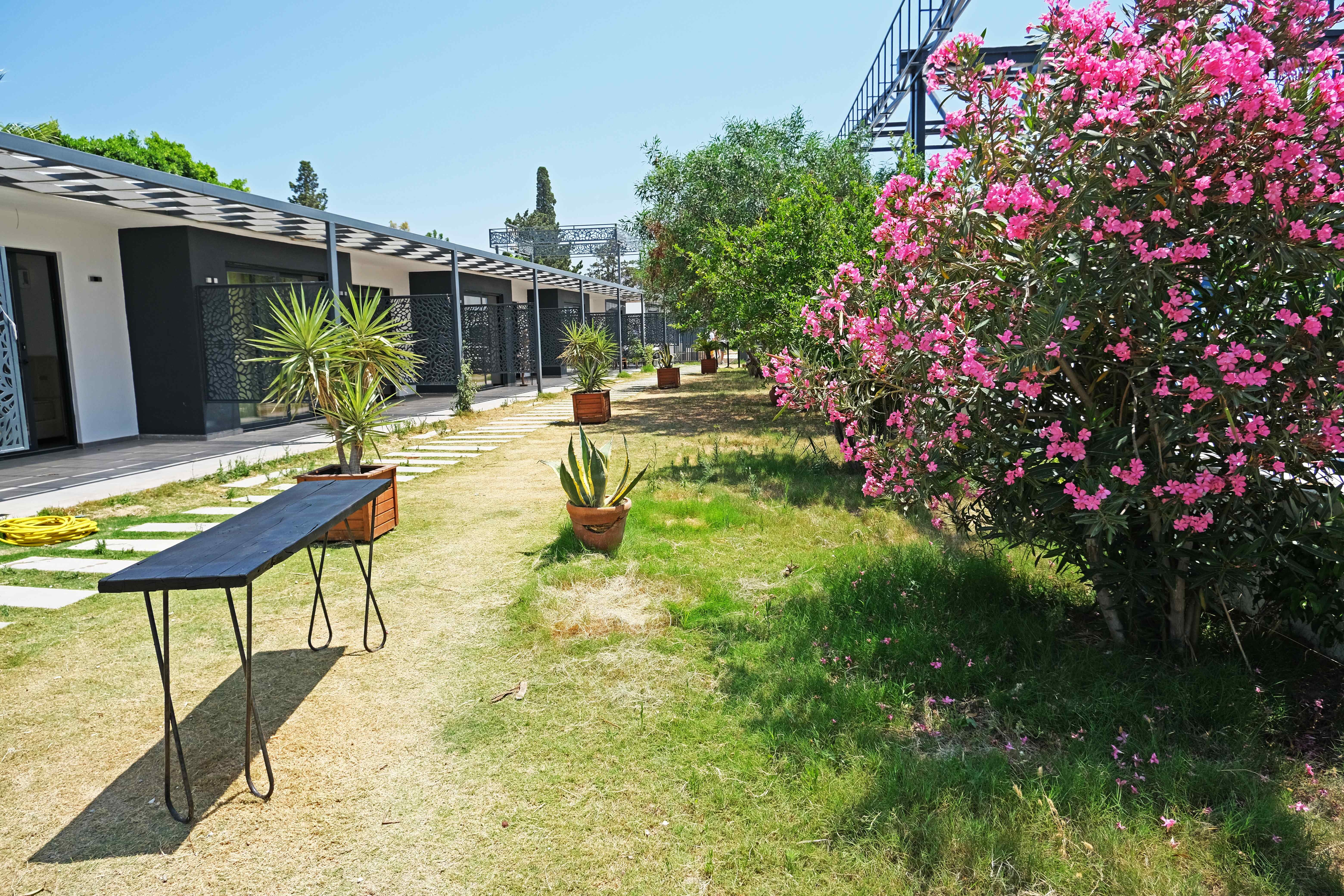 Foccus Beach Hotel