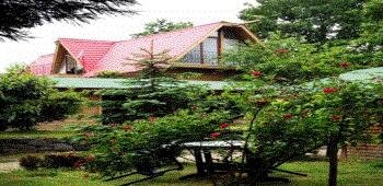 Green House Garden Park Hotel