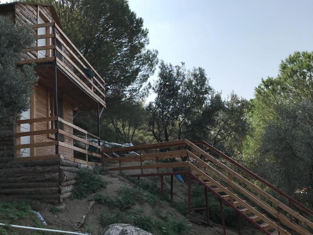 Ayanya Beach & Bungalows