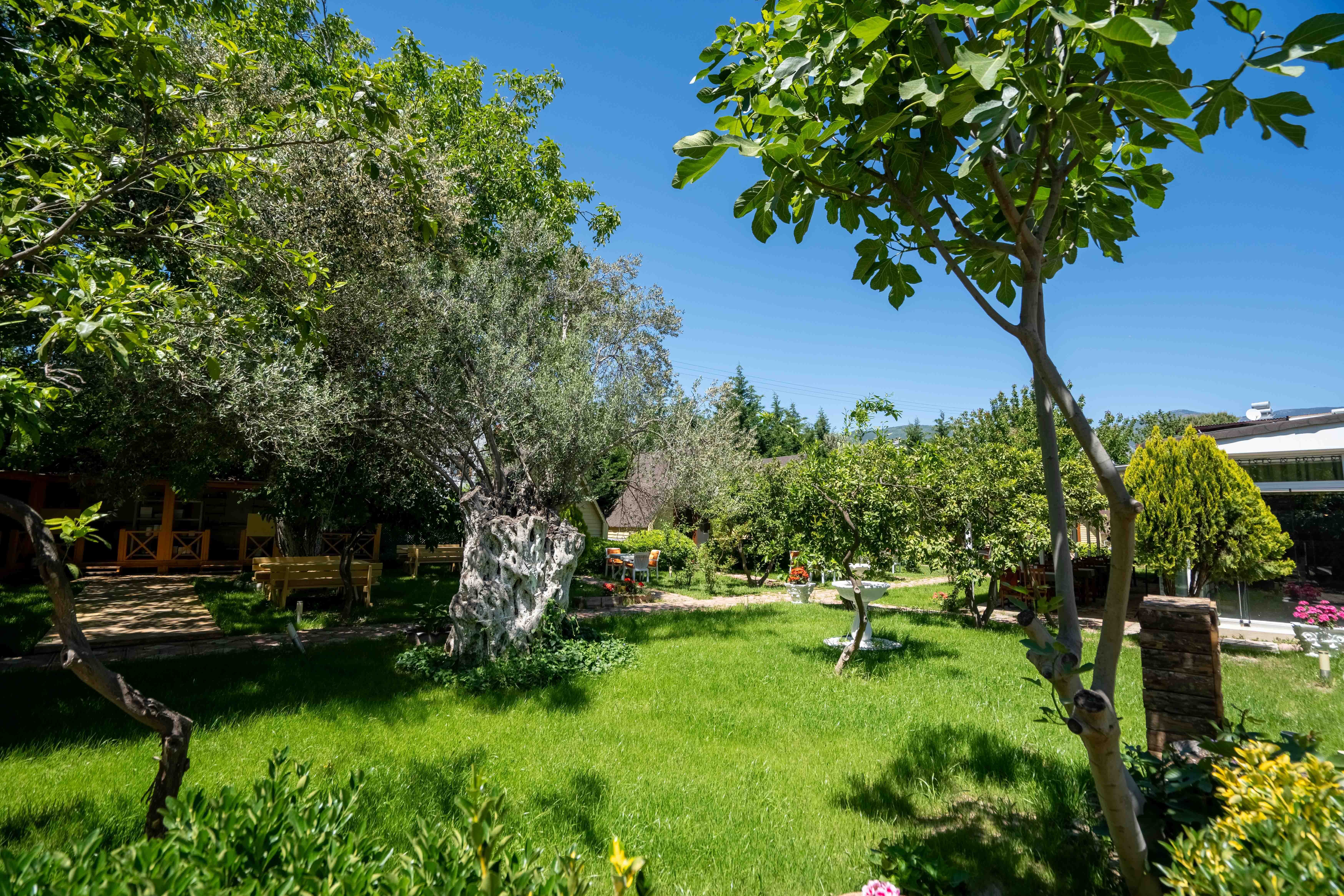 İdavilla Bungalov&Bahce · 47