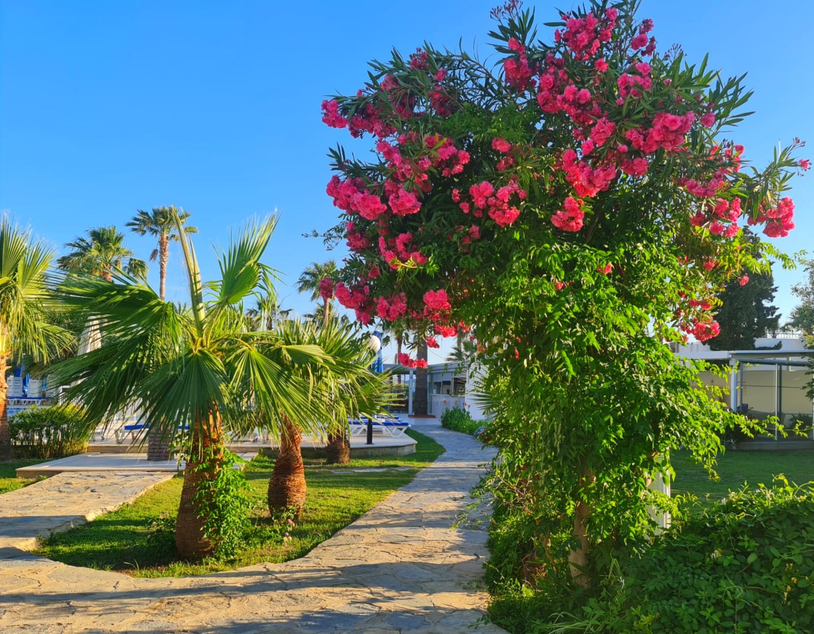 Nagi Beach Hotel · 9