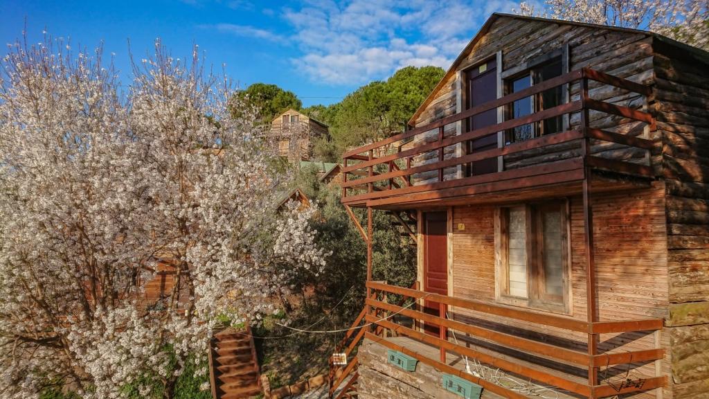 Ayanya Beach & Bungalows