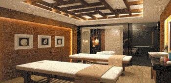 Holiday Inn Kayseri - Düvenönü · 46