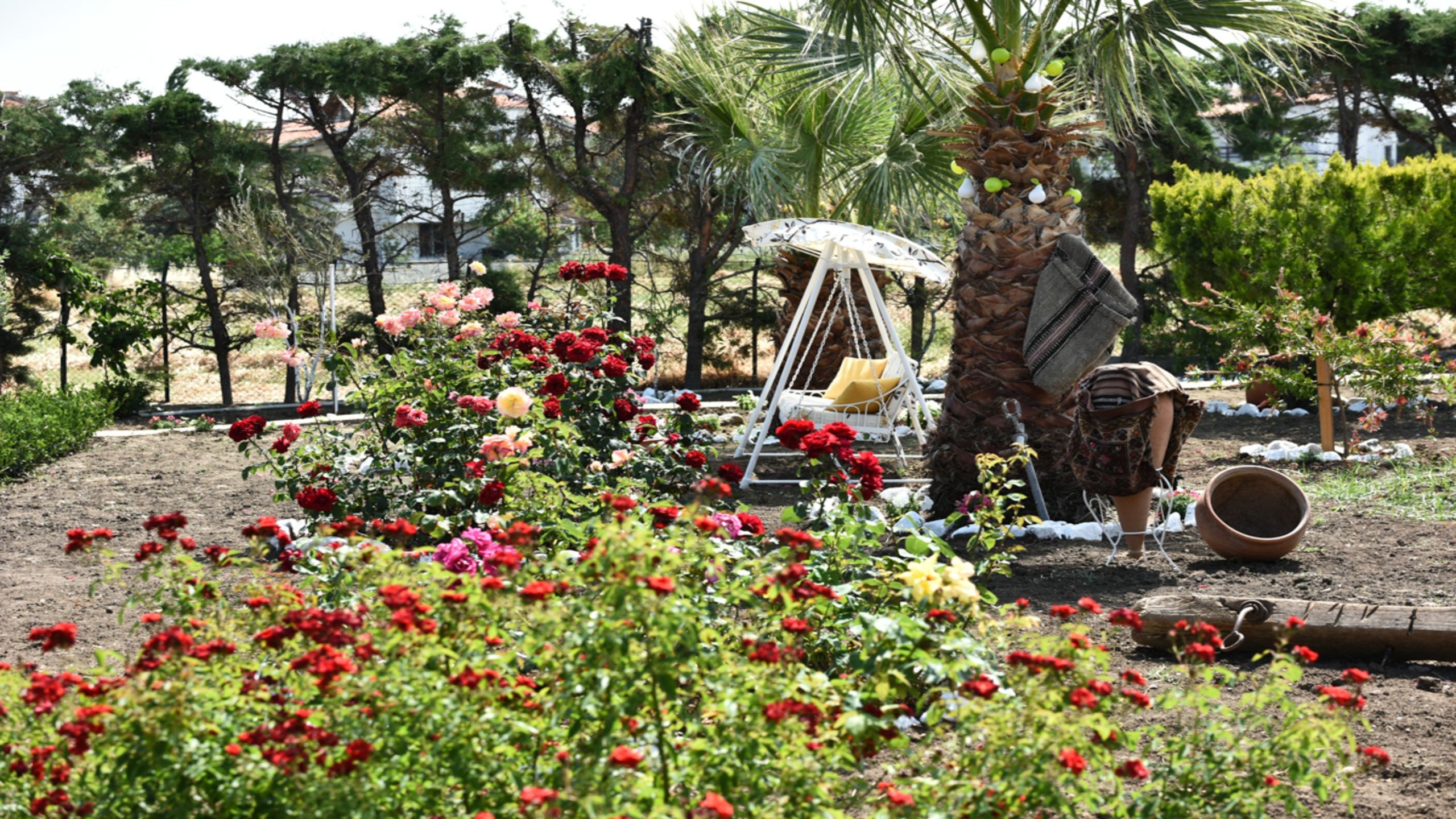 Cunda Aşiyan Butik Otel