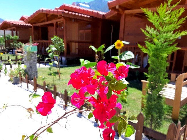 Begon Villa Butik