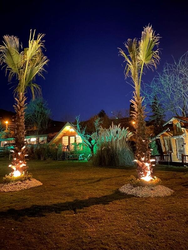 kocaeli hal fiyatları