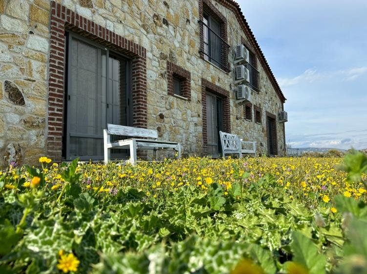 Zeytince Doğa Evi Foça galeri 4