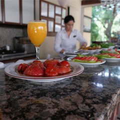 Mr. Dim Exclusive Apart Hotel- Göcek · 16