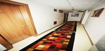 My Rose Hotel · 16