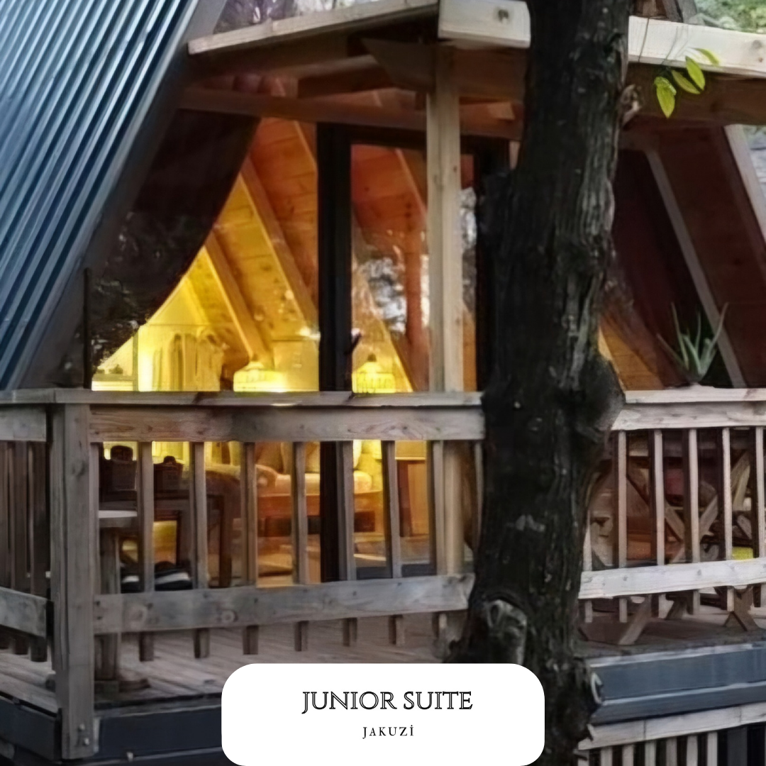Junior Suite Room