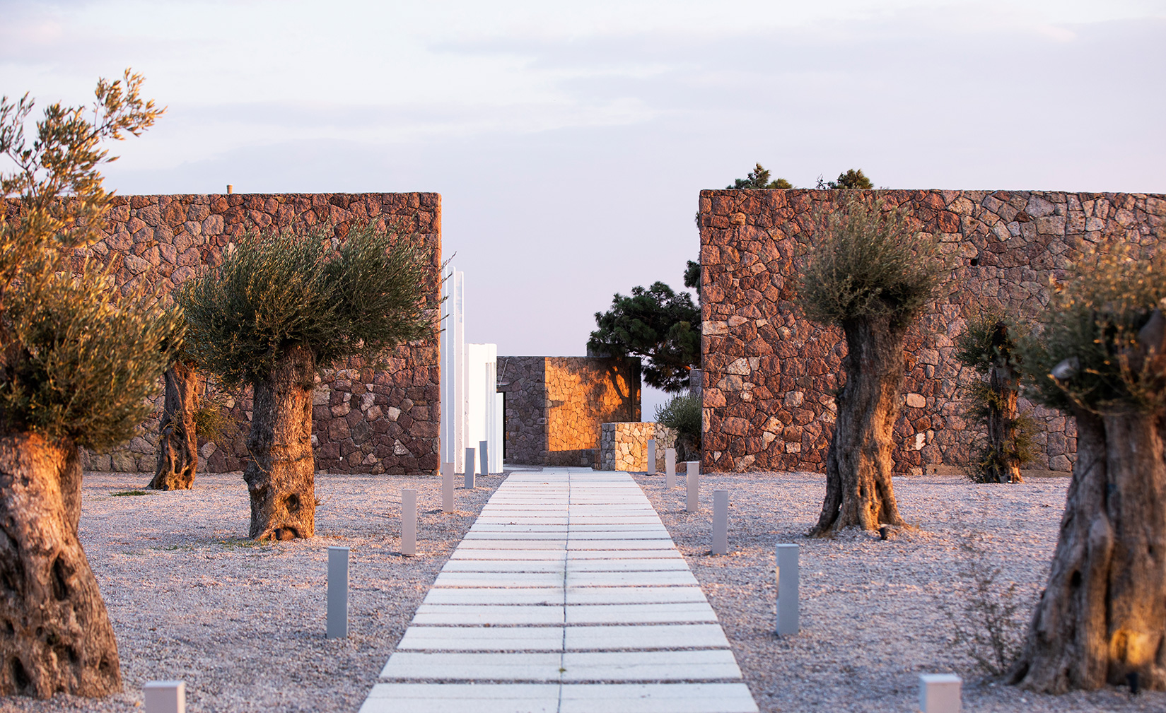 Momos (Adults Only 15+)