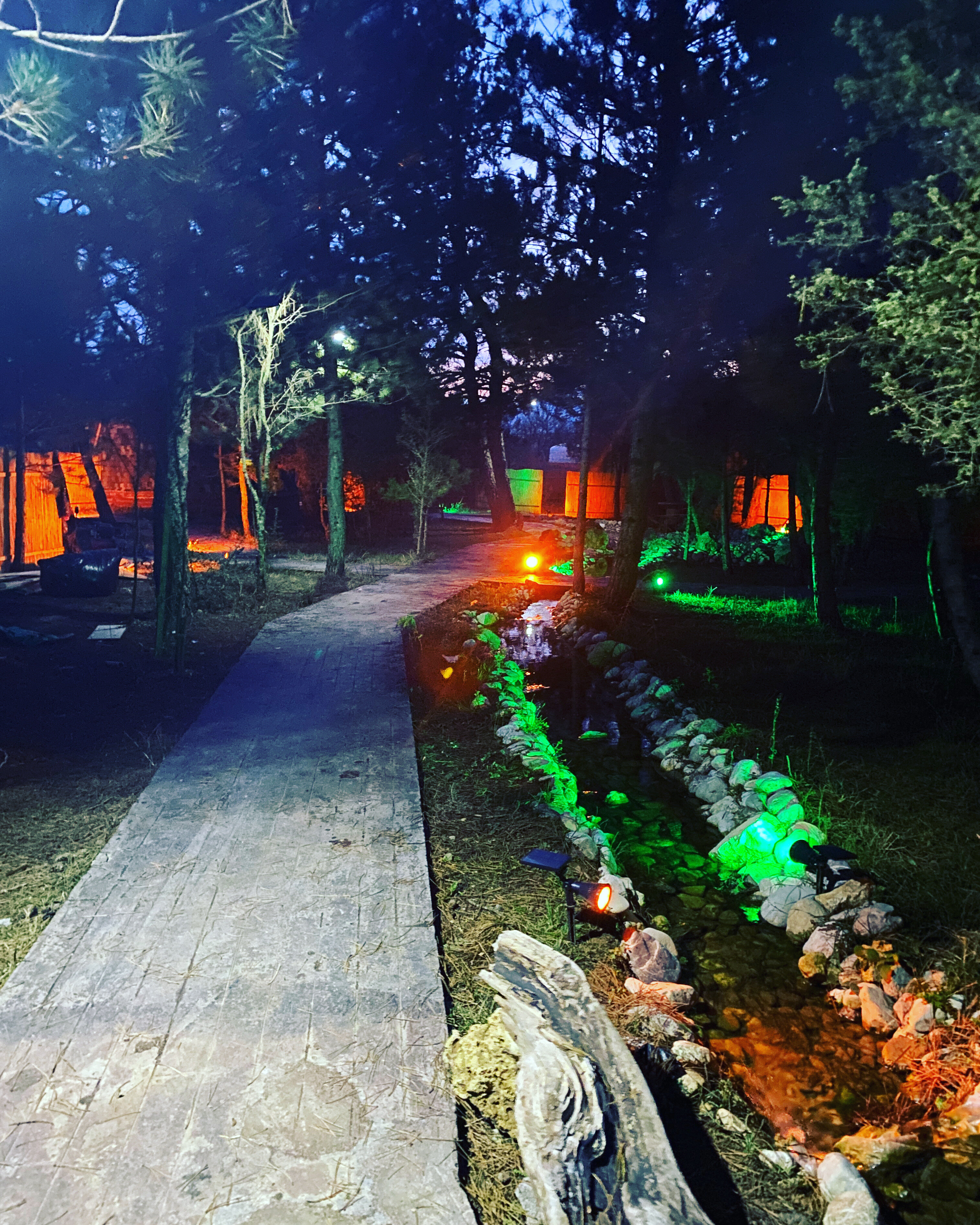 Lepista Garden galeri 9
