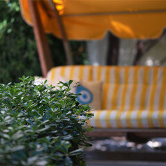 Mr. Dim Exclusive Apart Hotel- Göcek · 9