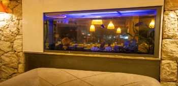 Turunç Dream Hotel