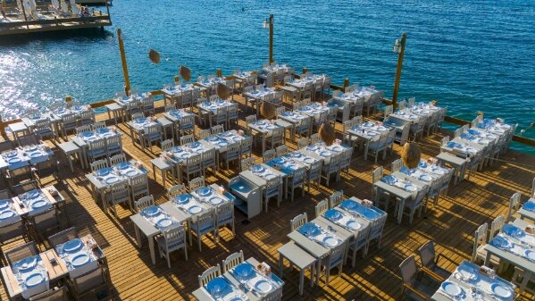 Orkide Bodrum