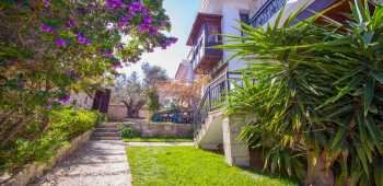 Begonia Alaçatı