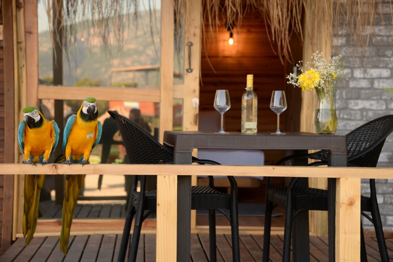 Lagun Beach House