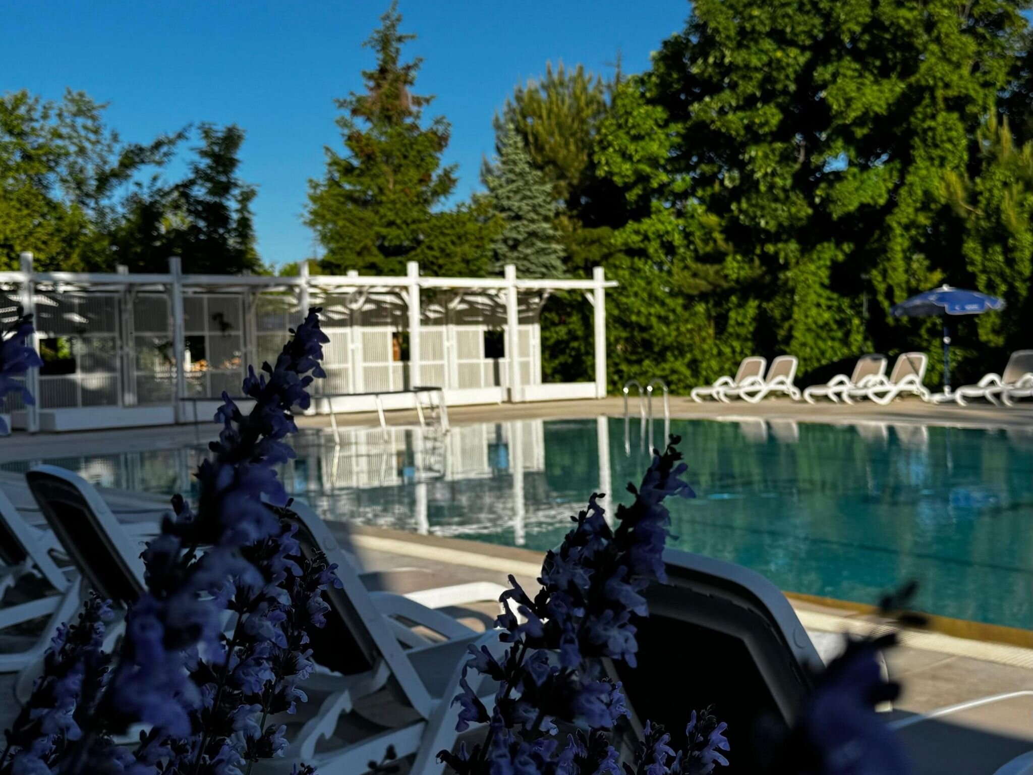 Elazığ Mavigöl Otel galeri 6