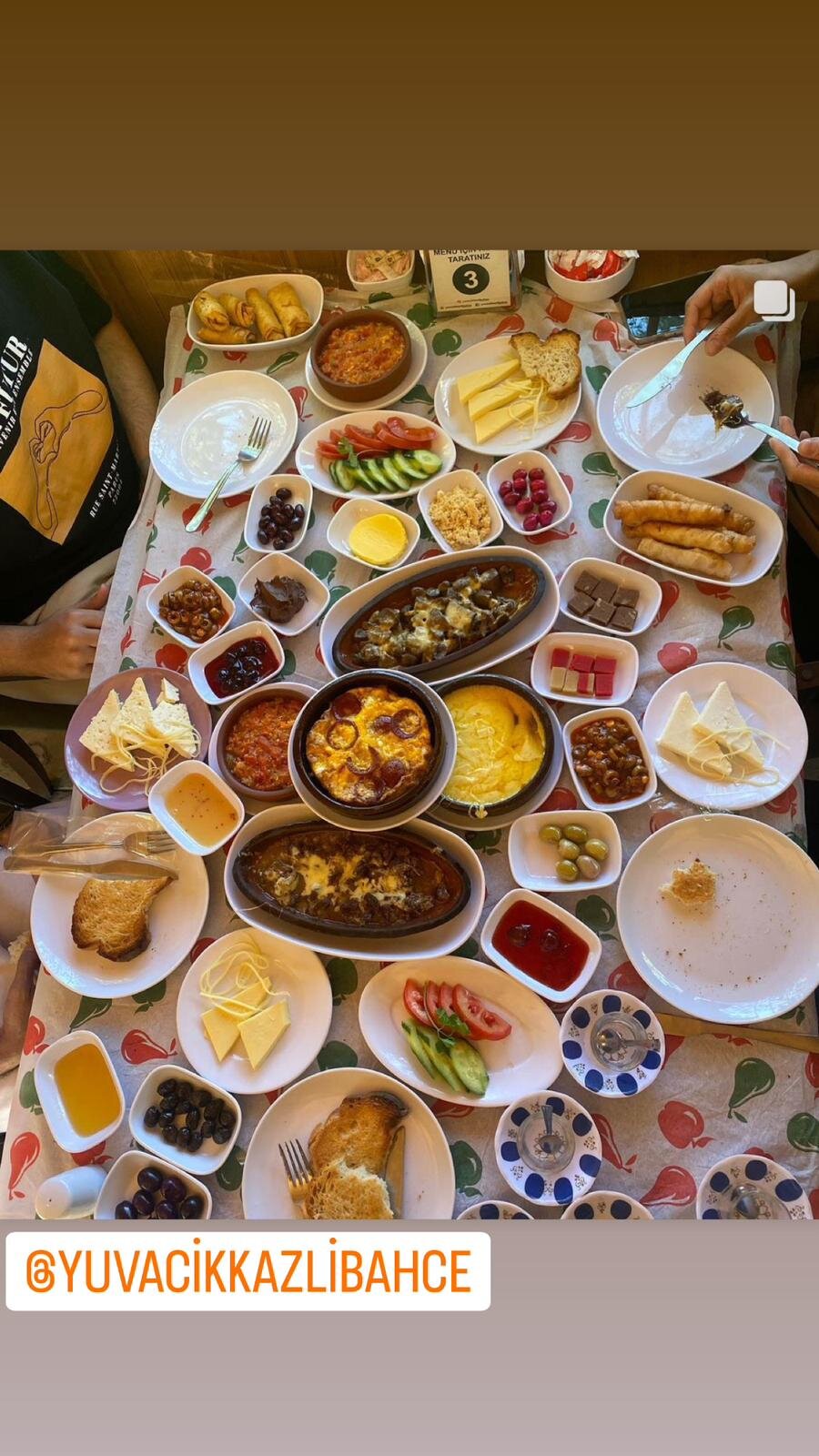 Yuvacık Kazlı Bahçe Bungalov · 40