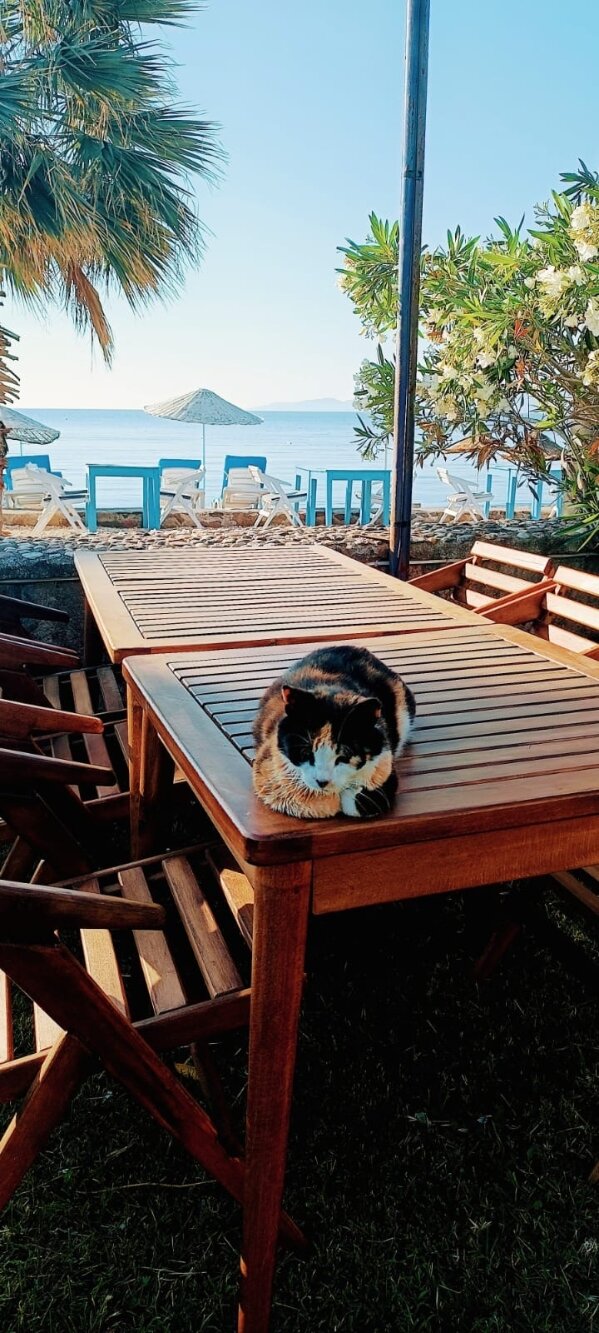 İmada Motel Assos