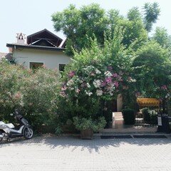 Mr. Dim Exclusive Apart Hotel- Göcek · 29