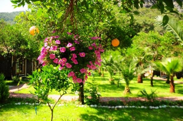 Likya Evleri Olympos galeri 7