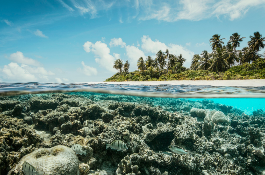 Robinson Maldives - Adults Only · 54