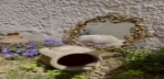 Garden Suite Görseli