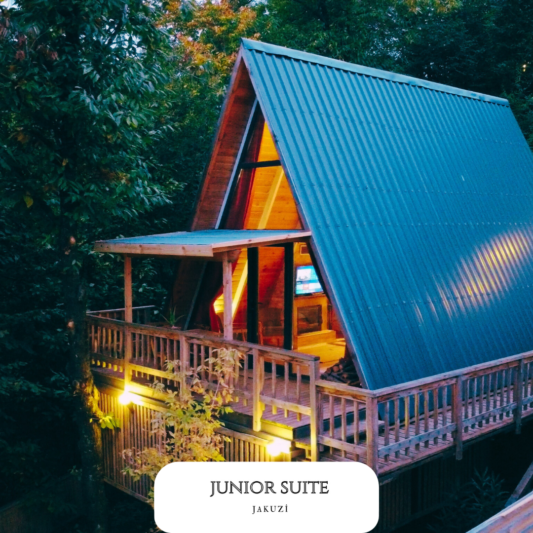 Junior Suite Room