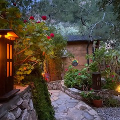 Reflections Bungalov Kabak