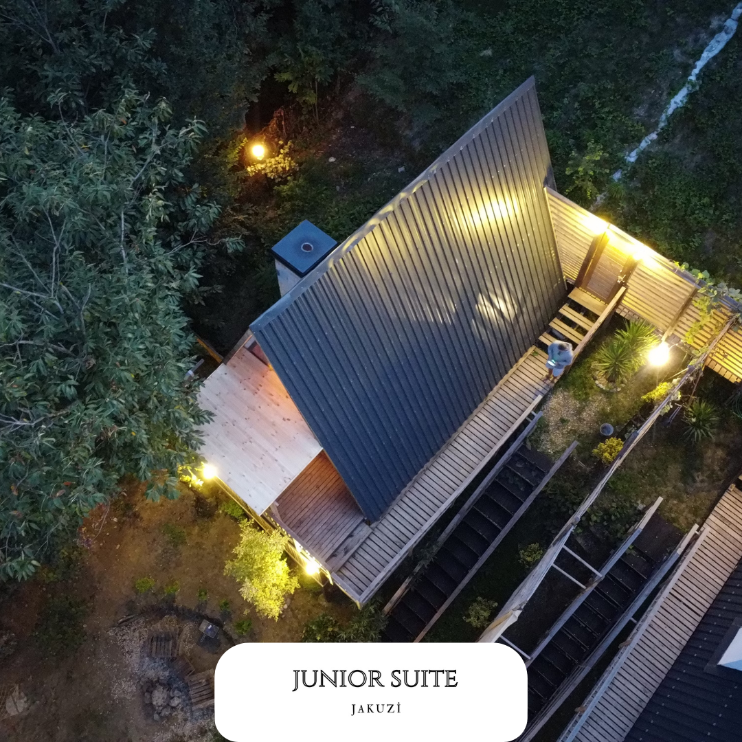 Junior Suite Room