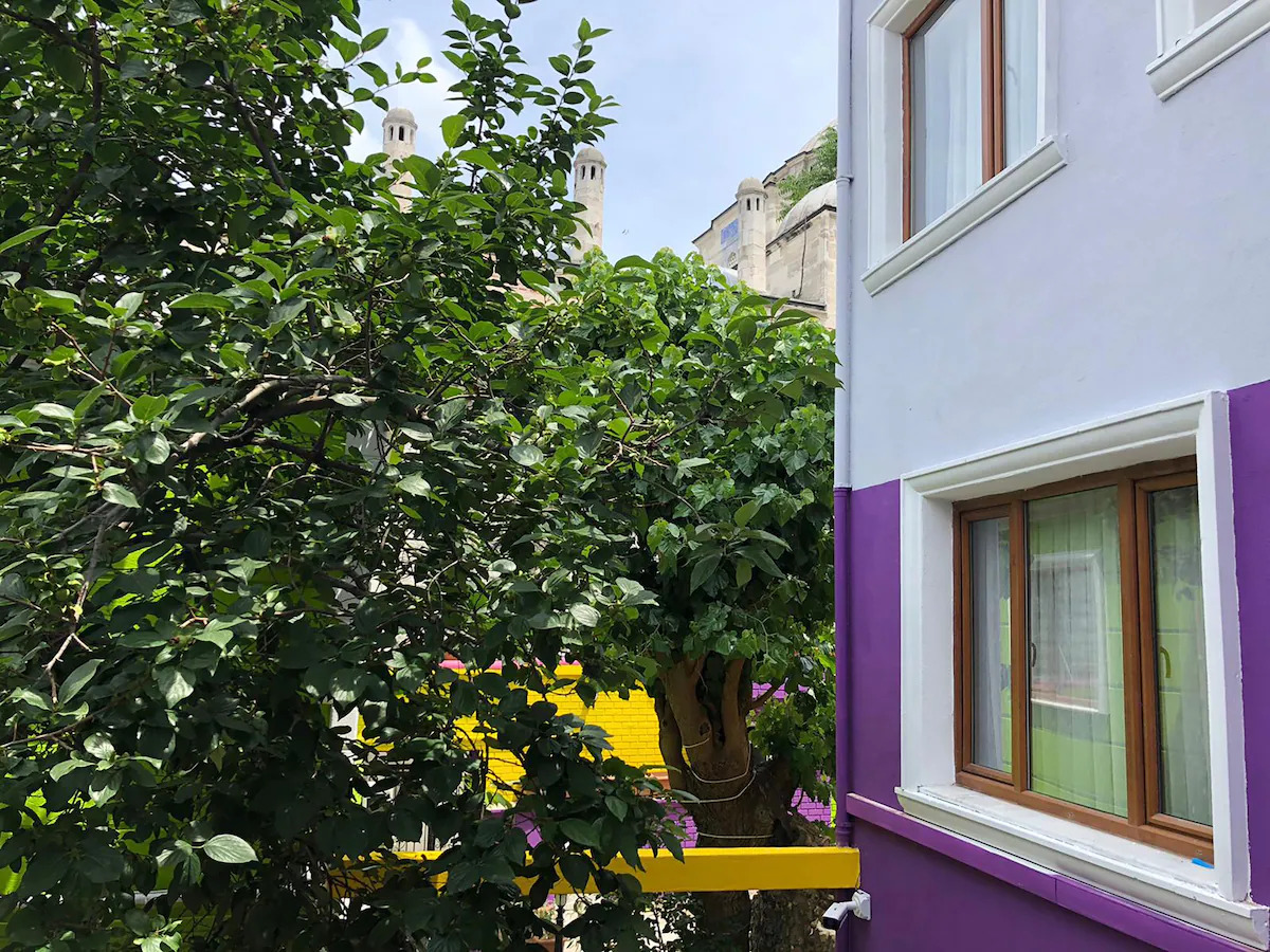 The Zanadu Hotel