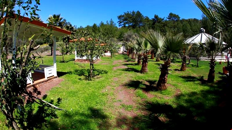 Nature Village Olympos