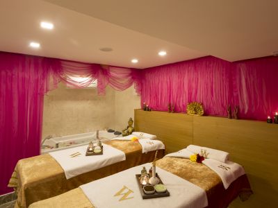 Wise Hotel & Spa (+16 Yetişkin Oteli)