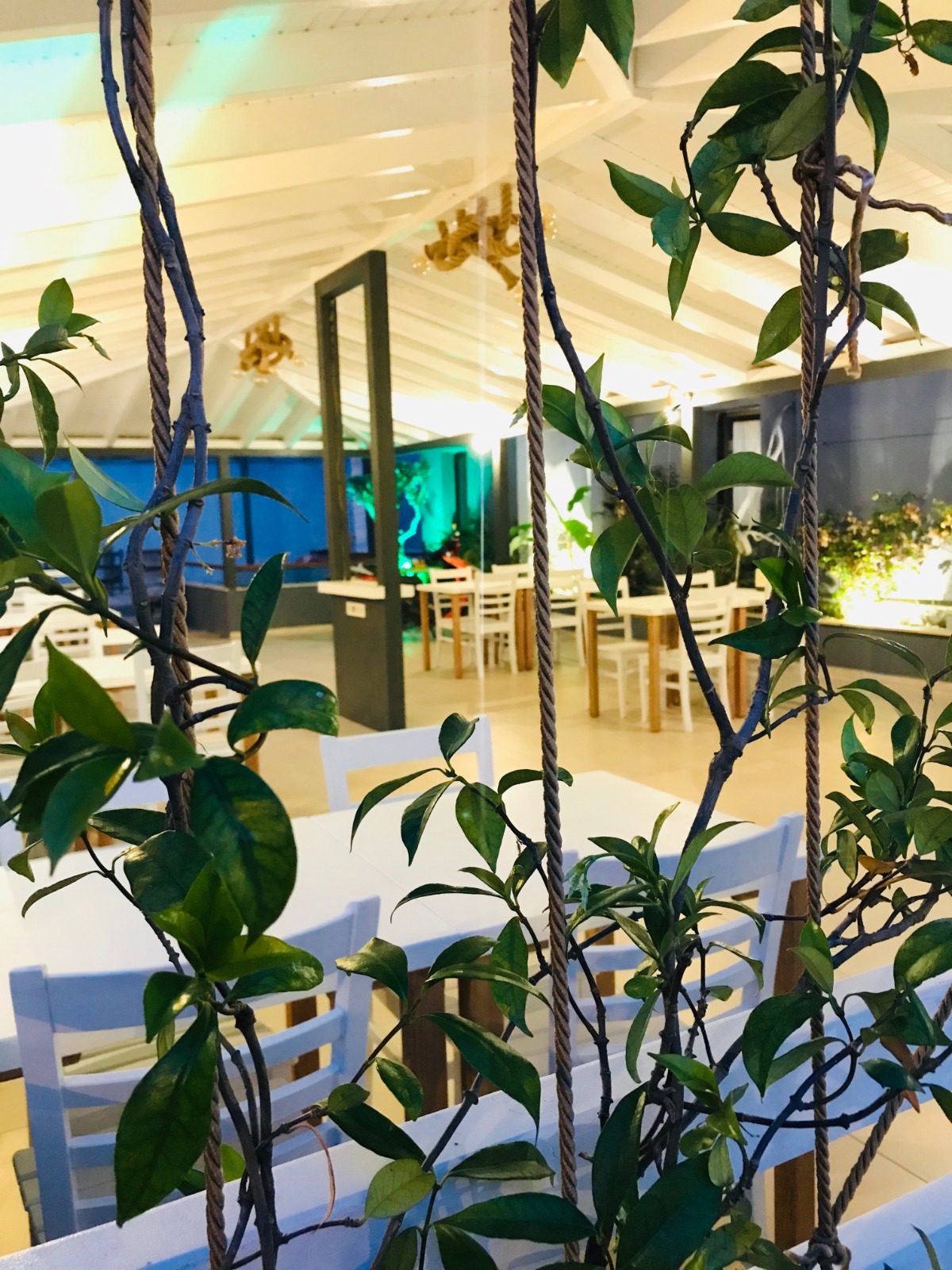 Çeşme Life Otel