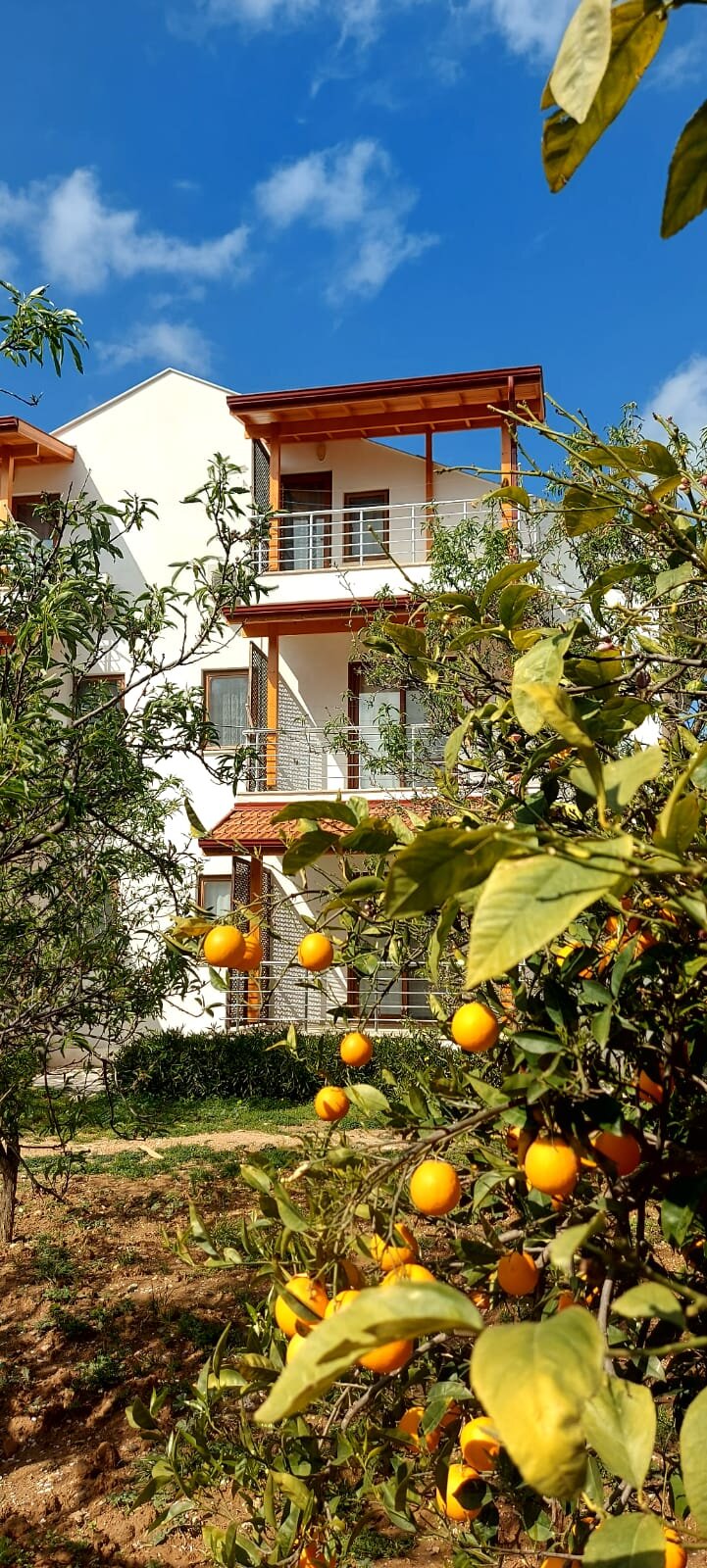 Canözüm Apart Otel Datça Palamutbükü · 5