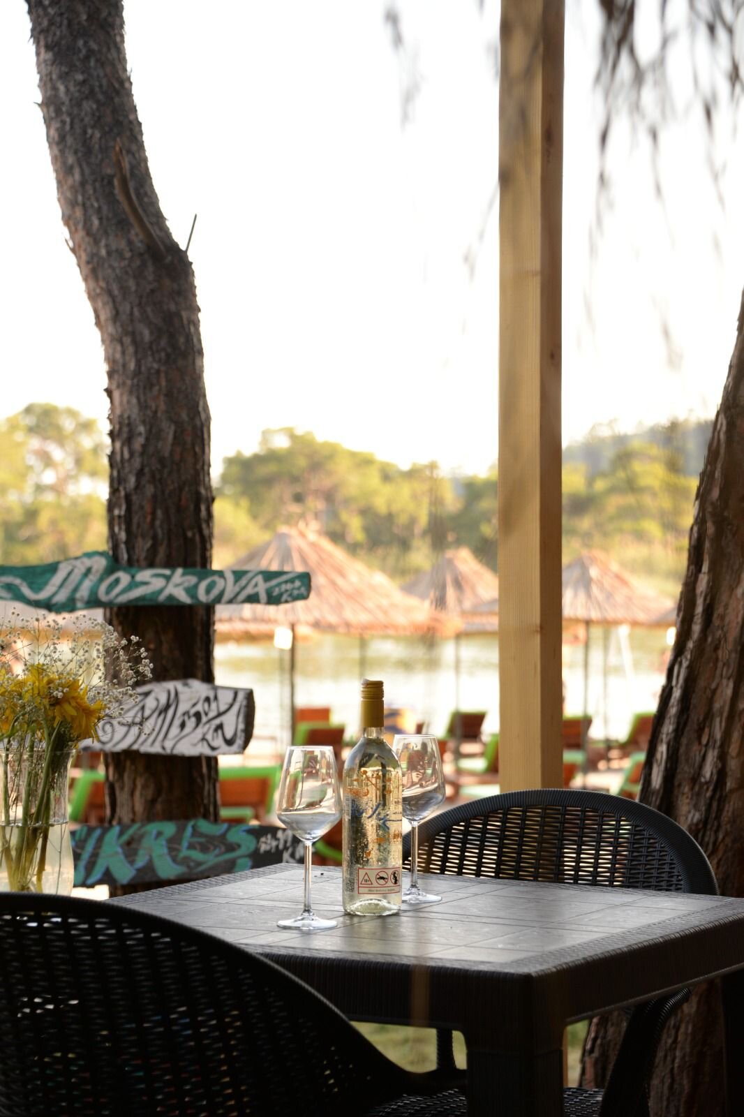 Lagun Beach House