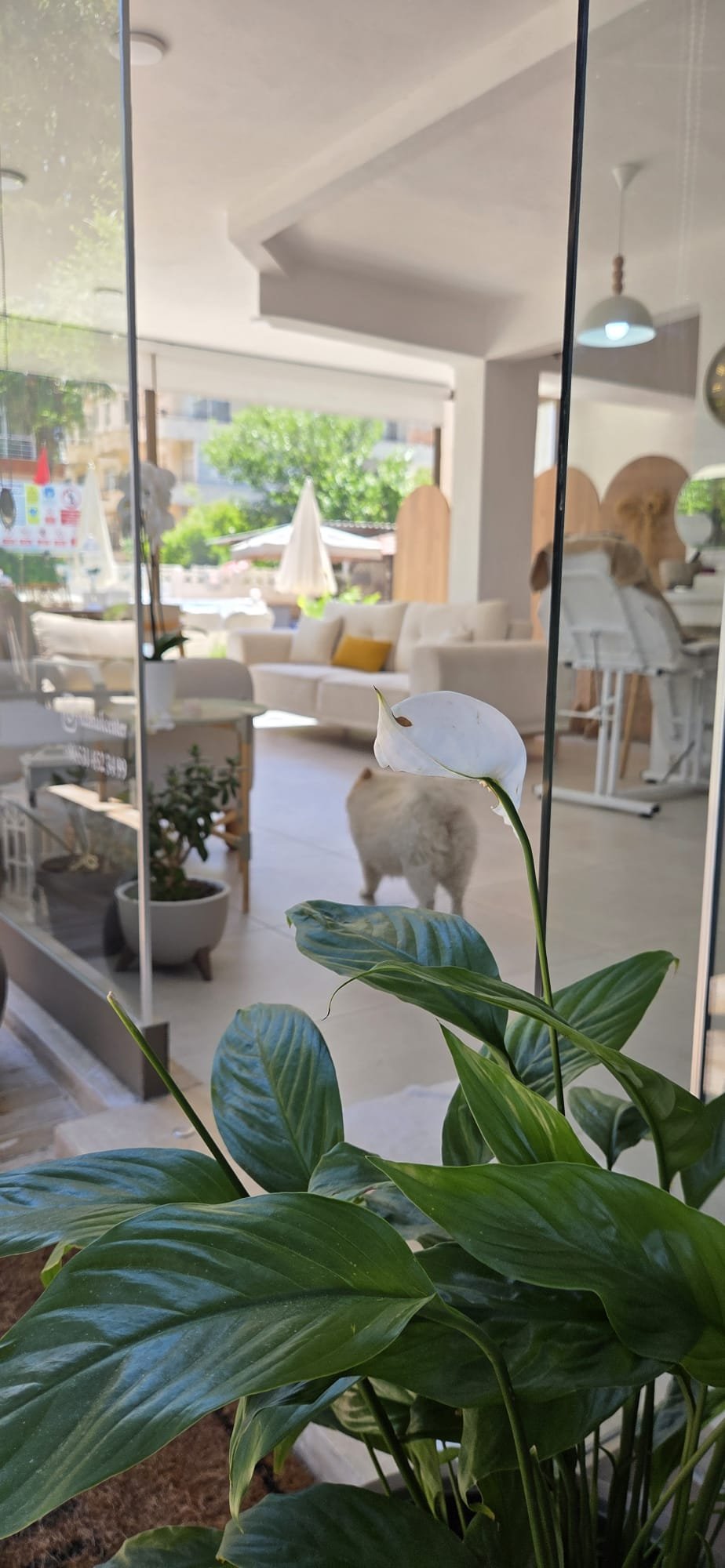 Palmen Apart Otel · 189