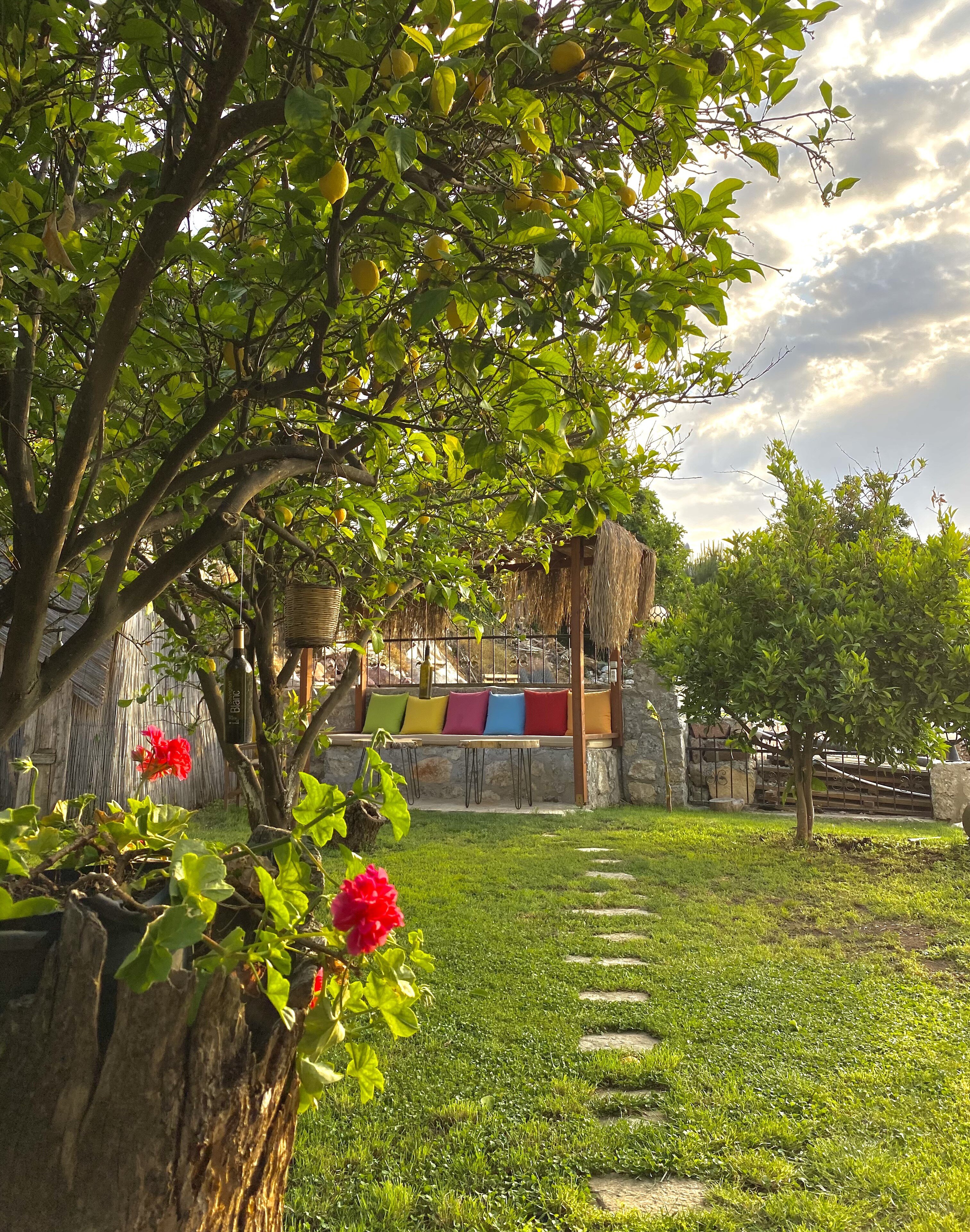Faralya Misafir Evi