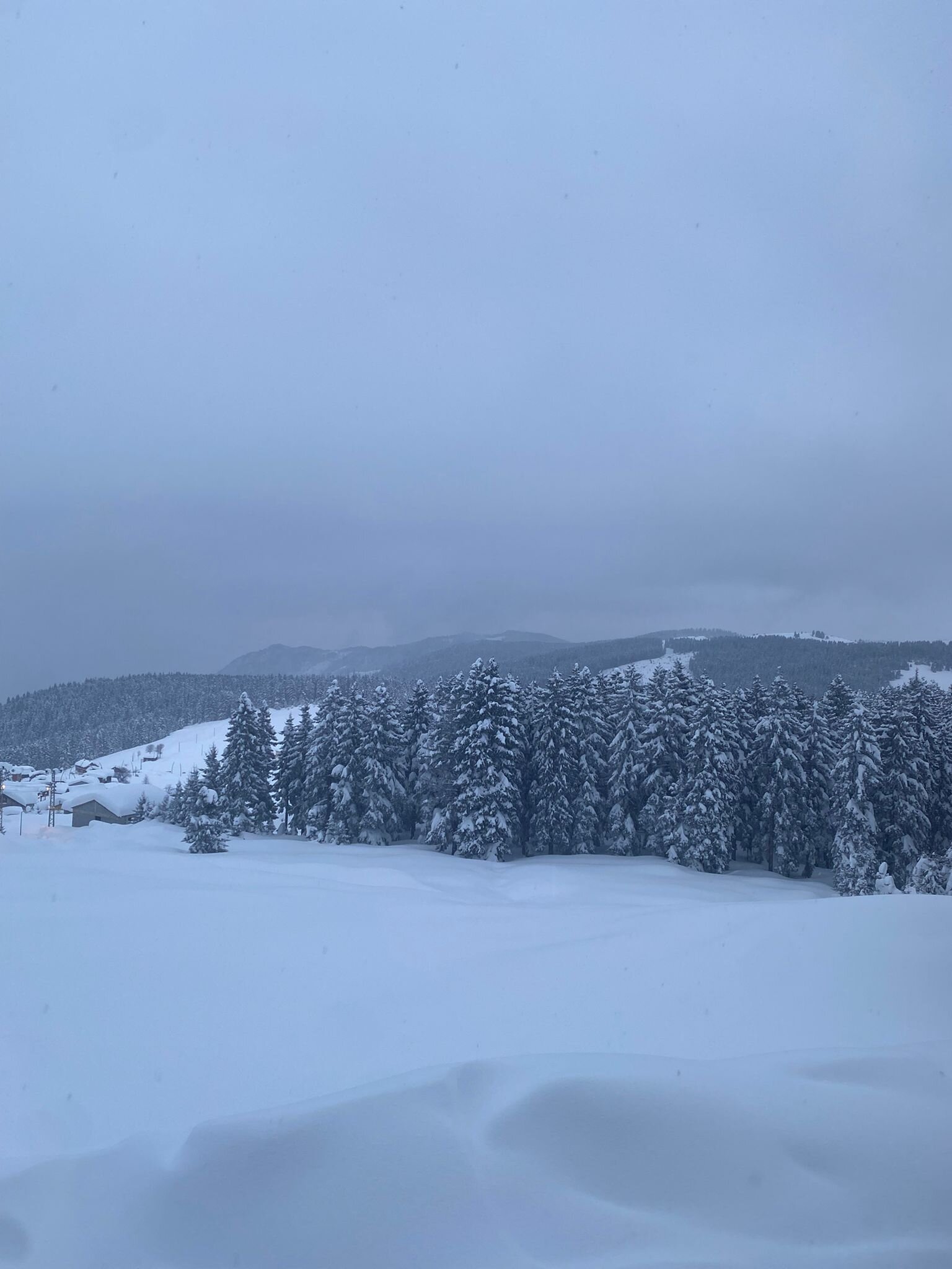 Zifin Hotel Rezervasyon