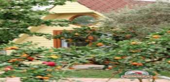 İdavilla Bungalov&Bahce · 77