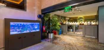 216 Eagle Palace · 58