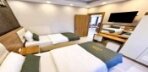 King Studio Apartment with Balcony & River View Görseli