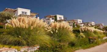 Aktur Residence