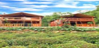 Tanura Bungalows · 30