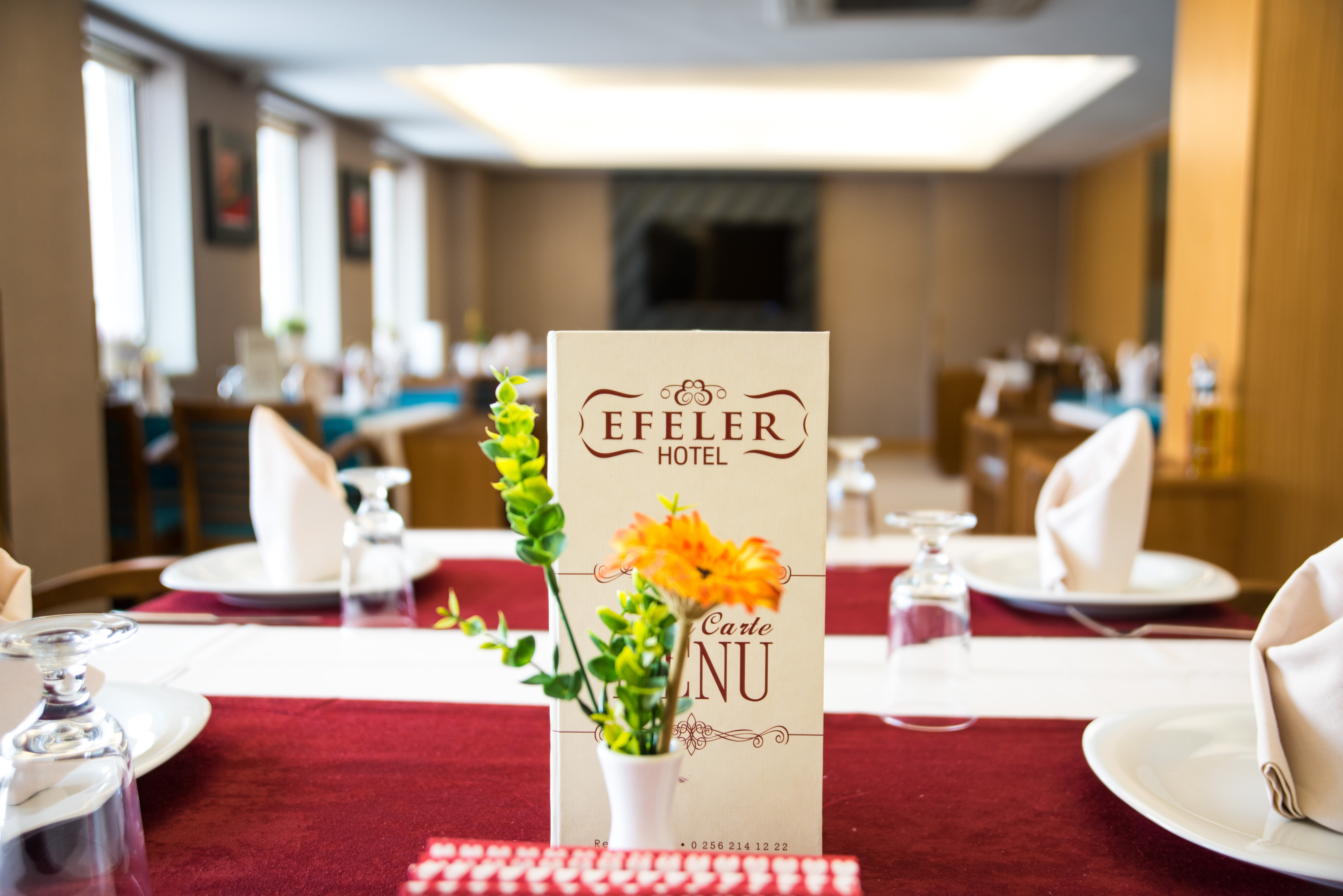 Efeler Hotel