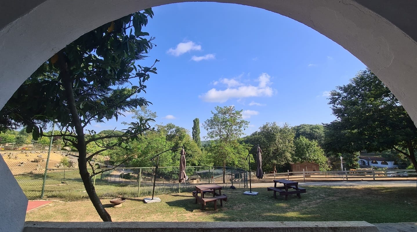 Park Oda Bahçe